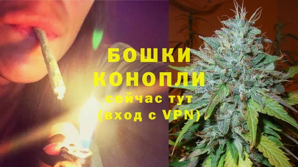 спайс Арсеньев