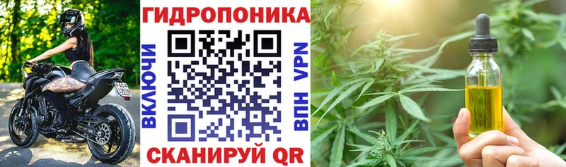 закладка  Асино  Каннабис планчик 